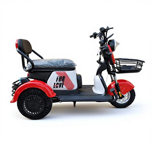 Tricycle électrique à trois roues pour adultes, vitesse unique, 48V 600W, cadre en acier à haute teneur en carbone, frein à tambour, taille 300-8 - LIVRAISON À DOMICILE - Product Image 1