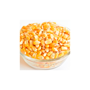 ข้าวโพดสีเหลือง,ข้าวโพดแห้งสำหรับอาหารสัตว์ปีกจากปากีสถาน - Product Image 5