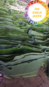 ใบตองสดแช่แข็งจากเวียดนาม | ทำความสะอาดและตัดแต่งอย่างถูกสุขลักษณะ | เหมาะสำหรับการห่อย่างและอาหารเอเชียแท้ๆ - Product Image 2