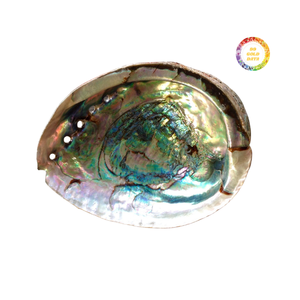 Pink <b>Abalone</b> <b>Shell</b> Natural Color Mother of Pearl for Artistic Craft Jewelry and Inlay Applications - Product Image 6