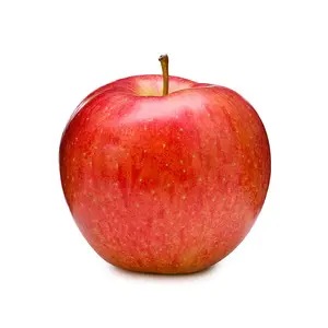 Apel segar berkualitas tanaman alami segar merah apel lezat