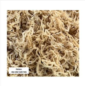 Dried Seaweed Eucheuma Cottonii <b>Irish</b> <b>Moss</b> / Seamoss Lowest Moistures From Vietnam Golden <b>Moss</b> Delicious Flavore Premium Grade - Product Image 2