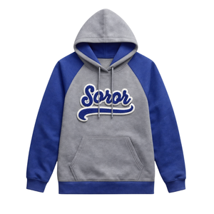 Steel <b>Grey</b> Zeta Phi Beta Soror Raglan Sleeve Hoodie 1920 Founders Inspired Greek Sorority Finer Womanhood Premium Apparel - Product Image 5
