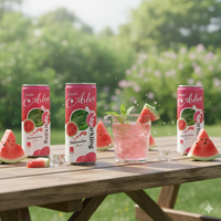 Sprankelende Watermeloensap 330ml blik OEM/ODM groothandel koolzuurhoudende verfrissende echte fruitsoda kant-en-klaar zomerdrank