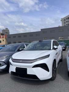 รถยนต์ไฟฟ้าแบตเตอรี่ระยะไกล ปี 2025 รุ่น OEM พลังงานใหม่ EV รถยนต์อัจฉริยะ SUV ขนาดกะทัดรัด รุ่นส่งออกสำหรับเอริเทรีย - Product Image 3