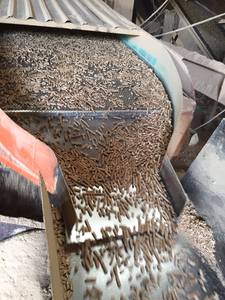 PELLET DE 100% COQUE DE RIZ POUR CARBURANT DU VIET NAM/PRIX BON MARCHÉ PELLETS DE CAJOU - Product Image 5