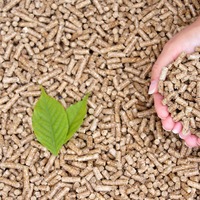 Granulés de bois combustibles en sac de 15 kg – Haute efficacité pour le chauffage