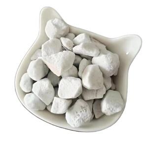 Perlite expansée pour usage industriel et de construction - Product Image 1