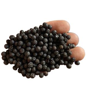 Litsea Cubeba Nueva cosecha con alta calidad en Vietnam (Sra. Laura) - Product Image 2