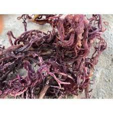 PREMIUM PURPLE SEAMOSS - VIETNAM MEJOR PRECIO y ALTA CALIDAD // Sra. Beatrix - Product Image 3