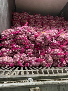 Copos de ajo deshidratados de Vietnam | Rodajas de ajo secas naturales a granel al por mayor de 99 Gold Data - Product Image 6