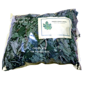 MEILLEUR VENDEUR NON-GMO FEUILLES DE PAPAYE SÉCHÉES FEUILLES DE PAPAYE BIOLOGIQUES DU VIETNAM - Product Image 6