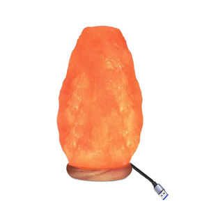 Lampes au sel naturel avec technique sculptée en haute qualité polies à la main forme personnalisée lampe USB au sel naturel de l'Himalaya - Product Image 1