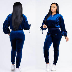 2025 New Arrivals Women Velvet Sweatpants and Hoodie Velvet Sweat suit sport Women <b>Velour</b> Two Piece Set royal velvet <b>Tracksuits</b> - Product Image 1
