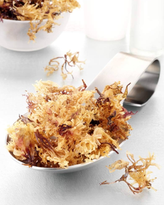 Musgo Marino Seco Vietnamita para Alimentos y Cosméticos, Precio de Fábrica - Product Image 1