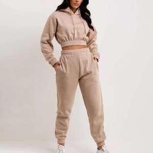 Conjunto de 2 Piezas para Mujer, Top Corto, Chaqueta con Capucha, Pantalones Deportivos, Conjunto de Dos Piezas para Mujer, Traje Deportivo con Cierre - Product Image 1