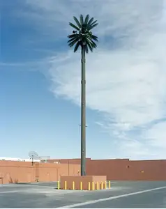 Özelleştirme 20m-50m yüksek kaliteli galvanizli örtülü hücre kulesi monopole telekom palmiye ağacı kutup gizli kule