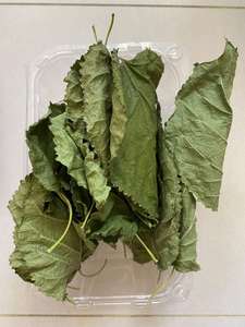 ใบหม่อนแห้งคุณภาพสูงจากผู้ผลิตที่แท้จริง - Product Image 6