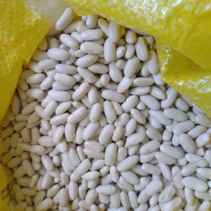 Haricots blancs égyptiens de qualité supérieure, nouvelle récolte, forme longue, 100% naturels, aliments secs, sacs en vrac de 25 kg, certifiés ISO220000 - Product Image 1