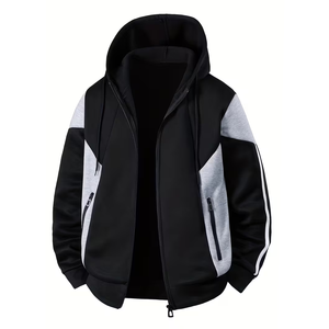 Sweat à capuche pour homme très demandé, 500 g/m², 100 % coton molletonné, personnalisable, respirant, prix de gros, pull tendance pour homme en vente - Product Image 1