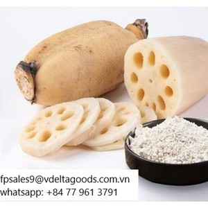 แป้งรากบัวคุณภาพส่งออกสำหรับอุตสาหกรรมอาหาร ราคาดีที่สุดจากเวียดนาม - Product Image 1