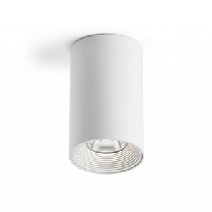 Lámpara de Techo Cilíndrica Arquitectónica |   Foco LED de Aluminio Extruido de 11W y 3000K con CRI 90 y 50000 Horas de Vida Útil - Product Image 1