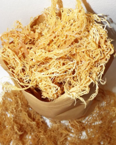 HIGH-QUALITY <b>DRIED</b> SEA <b>MOSS</b> EXPORTER 100% NATURAL SEA <b>MOSS</b> - Product Image 1