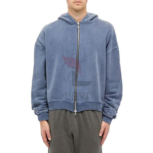 Sweat à capuche léger en polyester/coton, coupe classique, délavage acide, pour homme, nouvelle collection automne, broderie 3D unie - Product Image 1
