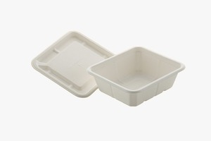 Fiambrera desechable de caña de azúcar biodegradable de 16 oz, segura para microondas, reciclable para el hogar, para llevar, restaurante, Picnics, 6x6 pulgadas - Product Image 3