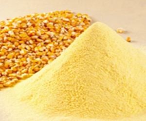 Farine de maïs jaune séchée à l'air de haute qualité en vrac, poudre de maïs pure déshydratée par procédé à sec pour usage alimentaire, à vendre - Product Image 5
