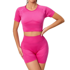 Nouvel arrivage Ensemble de yoga 2 pièces de haute qualité à taille moyenne pour femmes, respirant, manches courtes, logo avant personnalisé, fermeture élastique solide - Product Image 2
