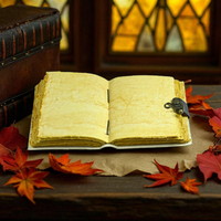 Journal en cuir arbre de vie Harry P inspiré SpellBook avec serrure en pierre de lune 400 pages imprimé journal d'écriture d'horreur à couverture rigide