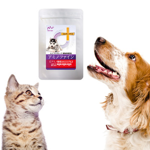 Di động số lượng lớn leucine bột nhập khẩu axit amin chăm sóc sức khỏe bổ sung cho chó và mèo - Product Image 3