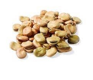 Hot Selling Best Quality Bulk Organic Green Fava Dry Broad Beans <b>Ready</b> <b>to</b> <b>Eat</b> 25kg Packaged in Bags by Top Suppliers - Product Image 3