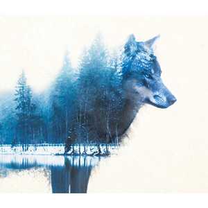 Póster de Madeleine's Forest Wolf para decoración de pared - Product Image 5