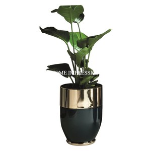 Macetas y macetas de flores de latón cromado negro/acero inoxidable-Color/forma/tamaño personalizado decoración duradera para jardín al aire libre - Product Image 4