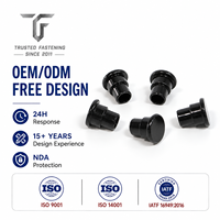TianFang 304 Stainless Steel Step Semi-Tubular Rivet, Flat Head, Zinc Plated, Custom Fastener, ISO Certified, for Shelf Hardware