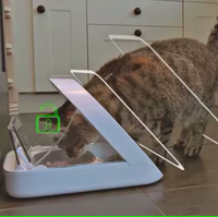 Distributeur automatique de nourriture intelligent RFID pour chats et chiens, identification intelligente, distributeur de repas automatique avec couvercle transparent
