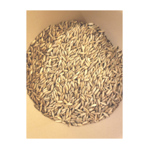 Granos de centeno Premium de alta calidad Producto de alimentación animal a granel Grano de cebada de alta calidad para la venta - Product Image 3