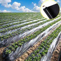 Film de paillage agricole biodégradable / Couvre-sol horticole anti-mauvaises herbes ; qualité écologique.