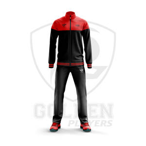 2023 nouveauté personnalisé hommes grande taille survêtements décontracté impression Style été vêtements de sport avec Logo conception personnalisée survêtement - Product Image 4