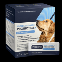 Poudre Probiotique Bio OEM pour Animaux de Compagnie – Soutien Digestif et Santé Intestinale pour Chiens et Chats – Complément en Friandises Tendres – Vente en Gros
