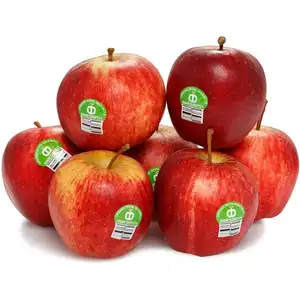 नई फसल ताजा लाल सेब फल ताजा फ़ूजी सेब फैक्टरी मूल्य बिक्री के लिए लाल सेब