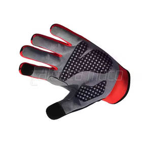 Gants de moto pour sports de plein air Gants de moto avec logo personnalisé Gants de moto antidérapants fabriqués au Pakistan - Product Image 6