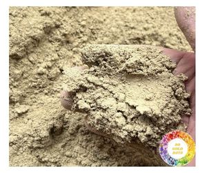 Raíz de regaliz de Vietnam de alta calidad, polvo de regaliz puro seco, extracto Natural Premium, polvo de regaliz a granel, suplemento de alta calidad - Product Image 3