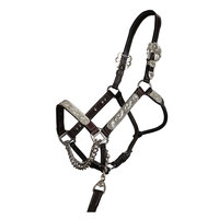 REHMAT NOOR INDUSTRY - Halte de cheval en cuir personnalisé de haute qualité, marron, réglable avec anneaux à boucle en laiton pour les courses d'endurance