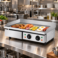 Plaque de cuisson électrique professionnelle 3000W/4400W à double contrôle de température, plaque de 8 mm en acier inoxydable, pour comptoir, 110V/220V