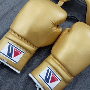 ชุดฝึกซ้อมมวย MMA และมวยไทย หนังวัวแท้ สีตามสั่ง สำหรับการฝึกซ้อมกลางแจ้ง ยี่ห้อ Winning Gear - Product Image 4