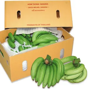 Cavendish Banane/Ernte Grün Tropische Banane OEM-Stil Bio Cavendish Farbe Gewicht Herkunft Typ Sorten qualität Produkt Frisch