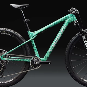 SS-Workss Epiic Worlld Cup SRRAM XX SL AXSS, RockxShox Ultiimate Fliight Attendantt - Product Image 1